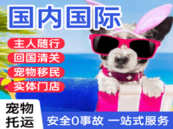 银川机场物流国际宠物托运 【国